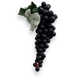 Zeige Details für Weinrebe mit Blattwerk Bild von Weinrebe mit Blattwerk