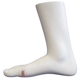 Zeige Details für Sandalenfuß Bild von Sandalenfuß