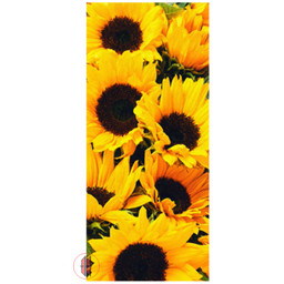 Zeige Details für Banner Sonnenblume Bild von Banner Sonnenblume