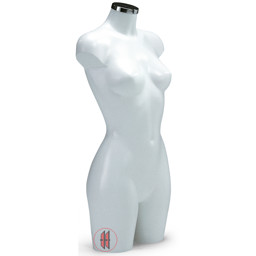 Zeige Details für Torso Energy Line weiblich Bild von Torso Energy Line weiblich