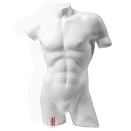 Zeige Details für Herren-Wandtorso weiß Bild von Herren-Wandtorso weiß