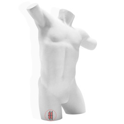 Zeige Details für Herrentorso mit Armansatz Bild von Herrentorso mit Armansatz