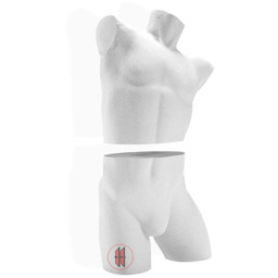 Zeige Details für Herrentorso Ober-/Unterteil Bild von Herrentorso Ober-/Unterteil