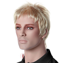 Zeige Details für Herrenperücke Mr.Spears Bild von Herrenperücke Mr.Spears