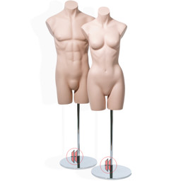 Zeige Details für Basic-Body-Torsos  Bild von Basic-Body-Torsos
