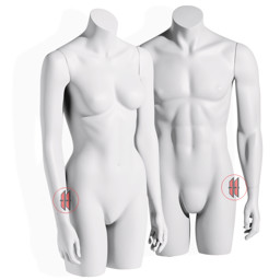 Zeige Details für 3/4 Body-Torsos mit Armen Bild von 3/4 Body-Torsos mit Armen