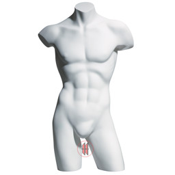 Zeige Details für Herrentorso Premium Bild von Herrentorso Premium