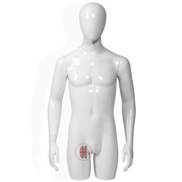 Zeige Details für Ringo-Herrentorsos mit Glasstandplatte Bild von Ringo-Herrentorsos mit Glasstandplatte