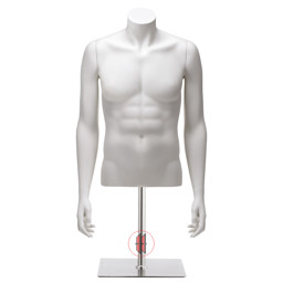 Zeige Details für Herrentorso mit Standplatte Bild von Herrentorso mit Standplatte