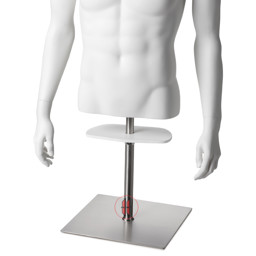 Zeige Details für Abdeckplatte für Torsen Bild von Abdeckplatte für Torsen
