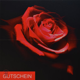 Bild von Geschenkgutscheine rote Rose