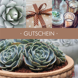 Zeige Details für Geschenkgutscheine Kaktus/Kerze Bild von Geschenkgutscheine Kaktus/Kerze