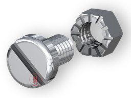 Zeige Details für Zylinderschrauben M5x10mm (100 Stück) Bild von Zylinderschrauben M5x10mm (100 Stück)