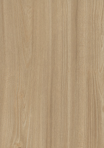 H1213 Tossini Ulme natur