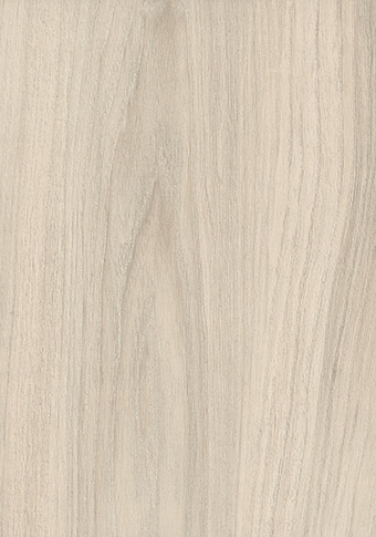 H3760 Cape Elm weiss