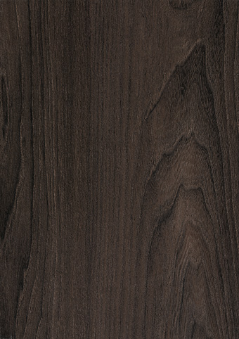 H3766 Cape Elm dunkelbraun