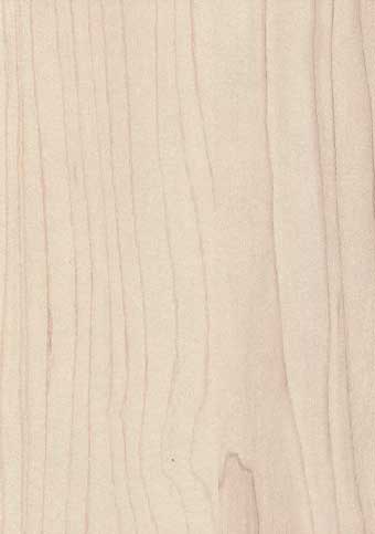 H3860 Hard Maple champagner